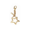 Double Buckle Star Bag Charm